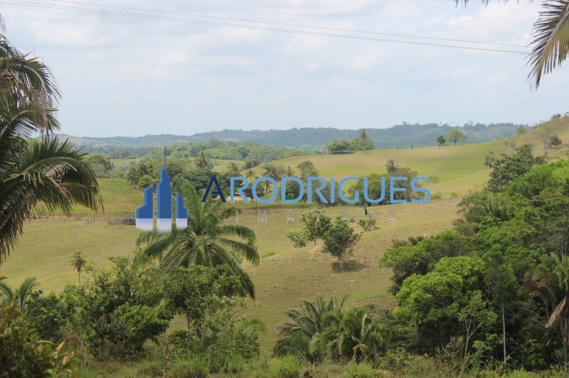 Fazenda, 20 hectares - Foto 26