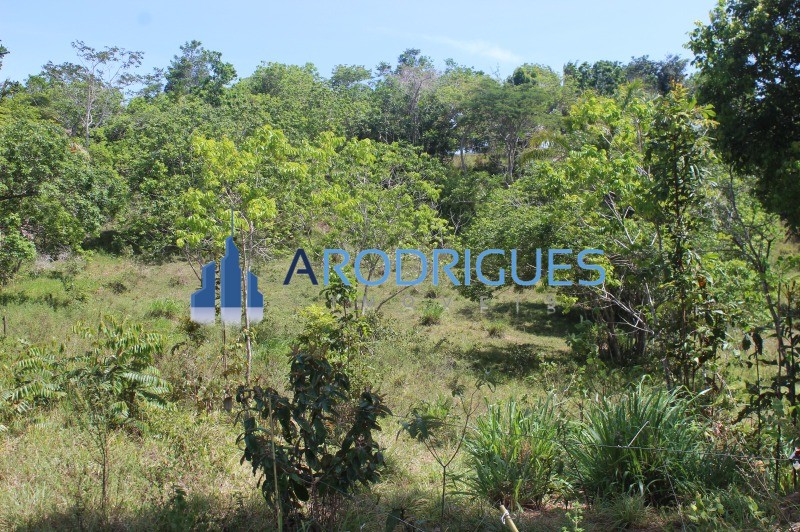 Fazenda, 20 hectares - Foto 7