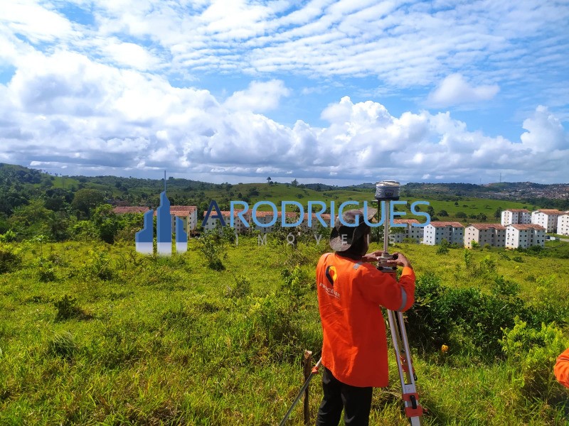 Terreno, 14 hectares - Foto 13