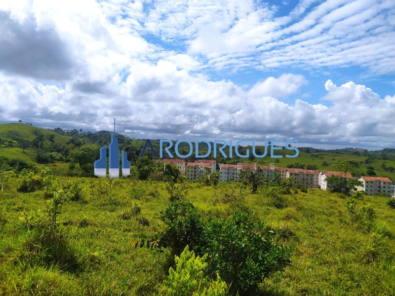 Terreno, 14 hectares - Foto 17