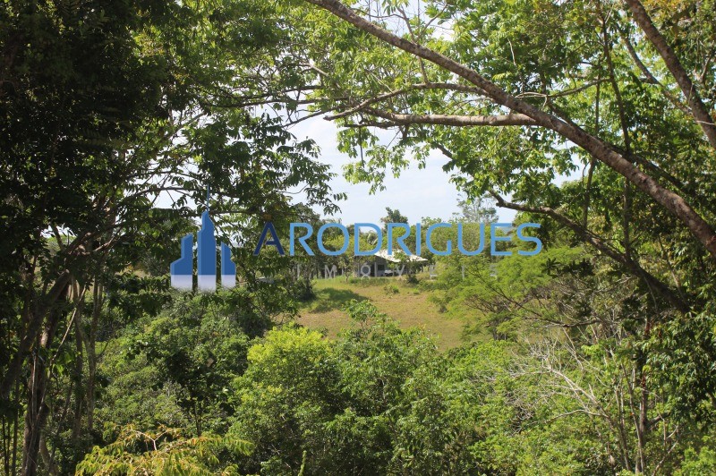 Fazenda, 20 hectares - Foto 4