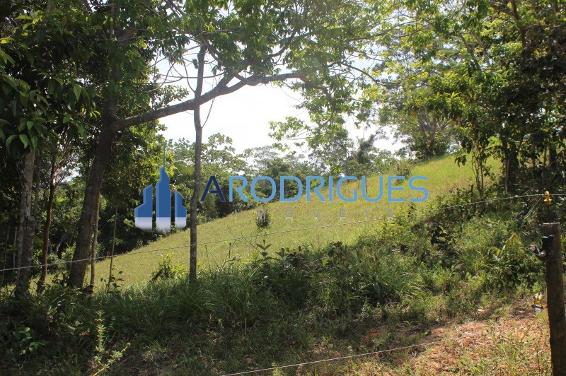 Fazenda, 20 hectares - Foto 13