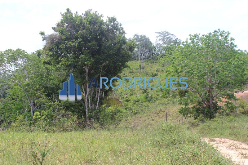 Fazenda, 20 hectares - Foto 16