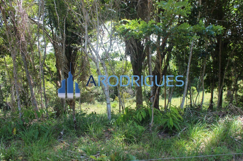 Fazenda, 20 hectares - Foto 10