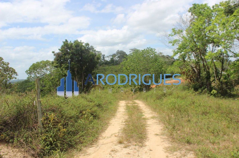 Fazenda, 20 hectares - Foto 19