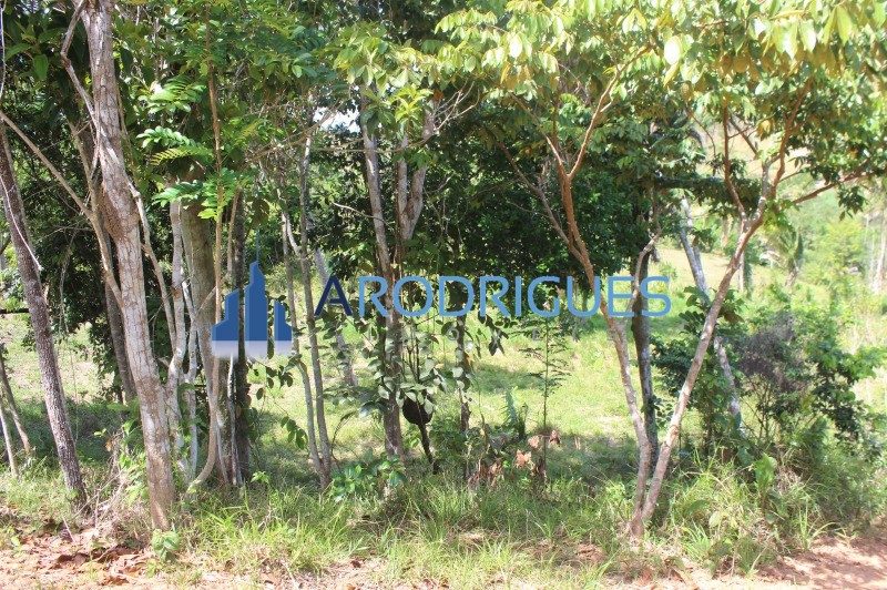 Fazenda, 20 hectares - Foto 11