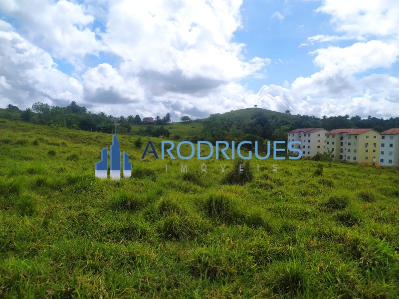 Terreno, 14 hectares - Foto 12