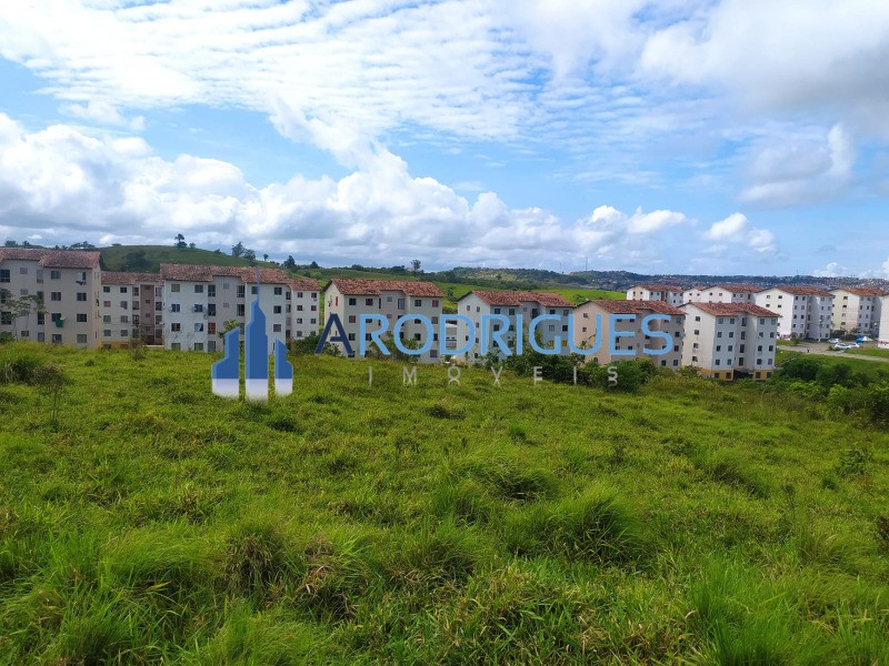 Terreno, 14 hectares - Foto 10