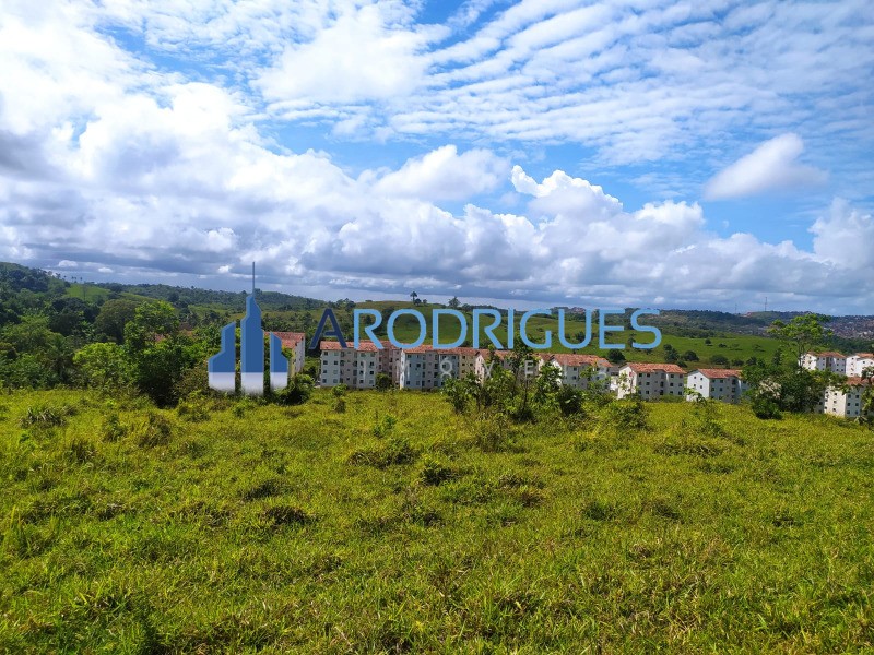 Terreno, 14 hectares - Foto 23