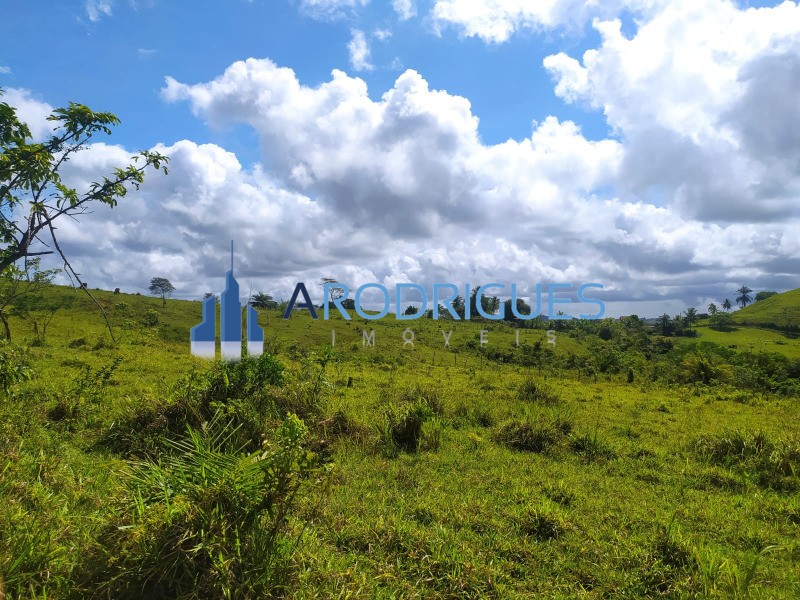 Terreno, 14 hectares - Foto 18