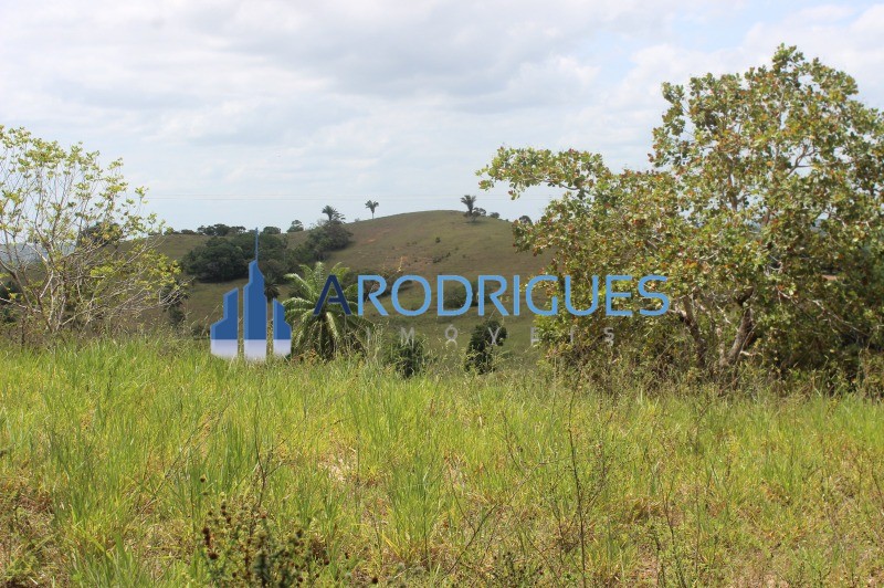 Fazenda, 20 hectares - Foto 17