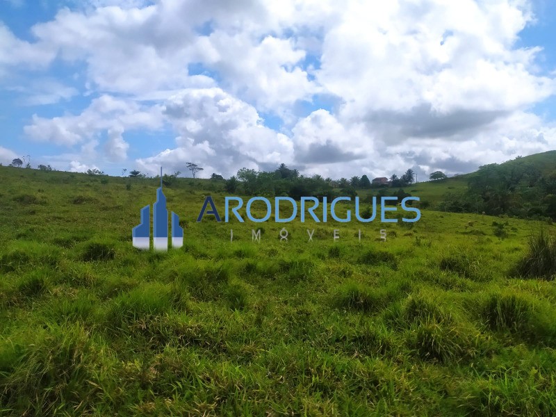 Terreno, 14 hectares - Foto 19