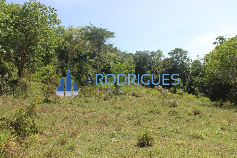 Fazenda, 20 hectares - Foto 6