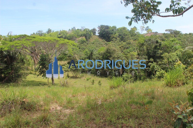Fazenda, 20 hectares - Foto 21