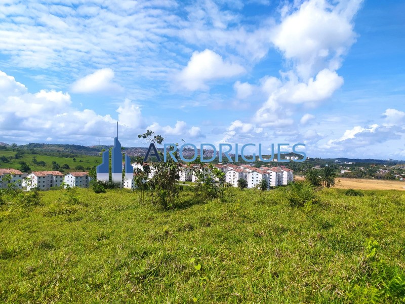 Terreno, 14 hectares - Foto 22