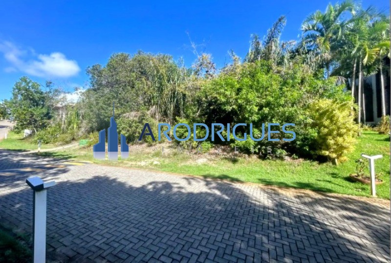 Terreno, 800 m² - Foto 12