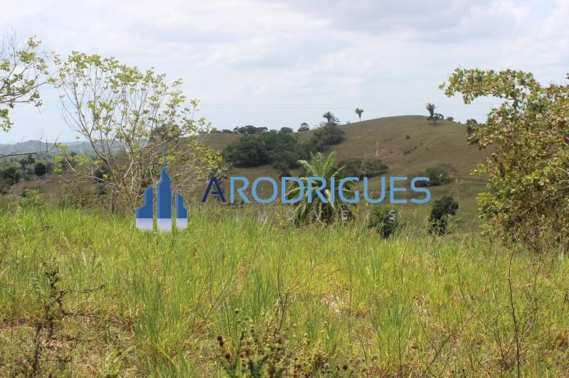 Fazenda, 20 hectares - Foto 18