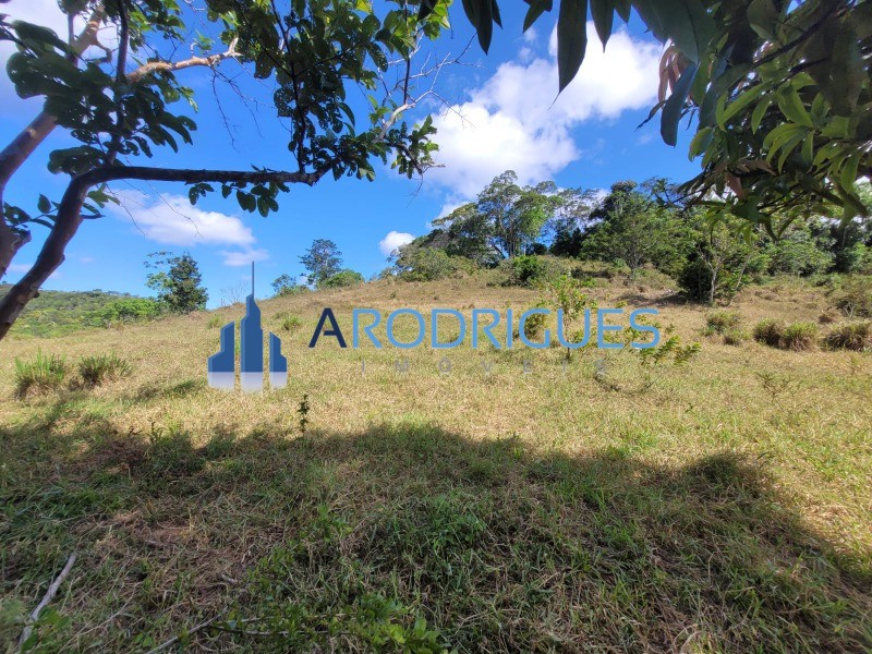 Fazenda, 20 hectares - Foto 8