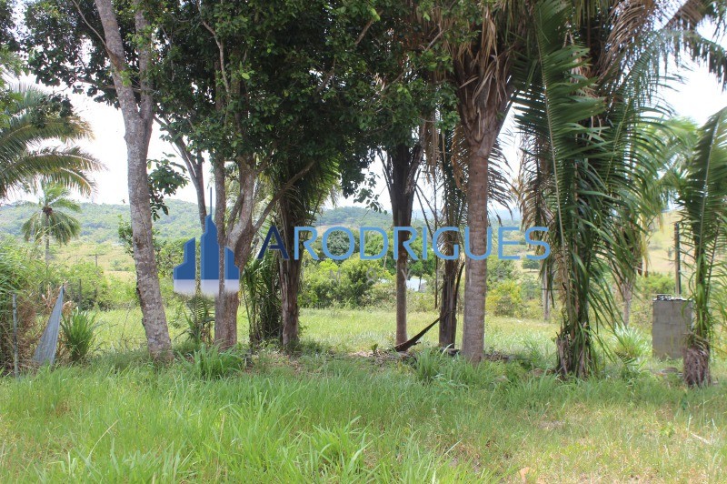 Fazenda, 20 hectares - Foto 27