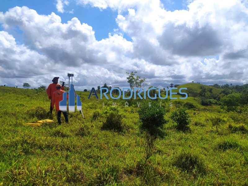 Terreno, 14 hectares - Foto 15