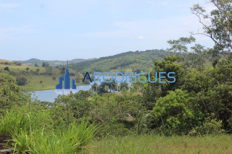 Fazenda, 20 hectares - Foto 23