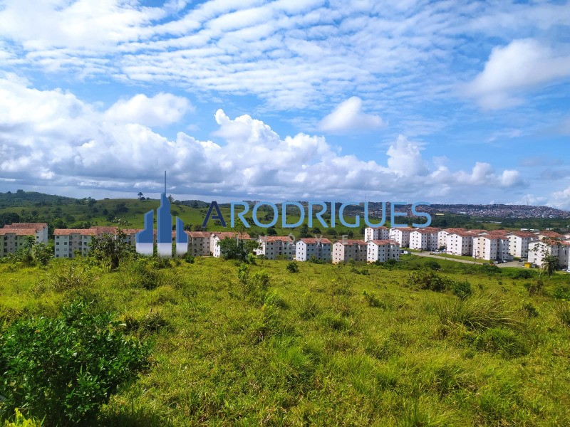 Terreno, 14 hectares - Foto 16