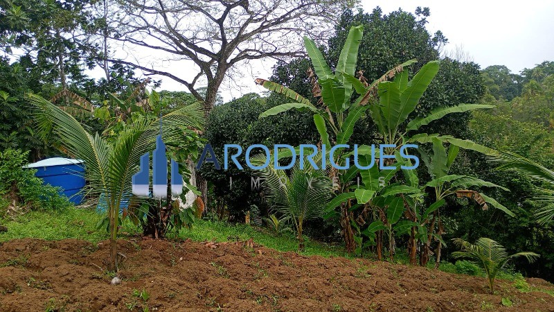 Sítio, 3 quartos, 1 hectares - Foto 19
