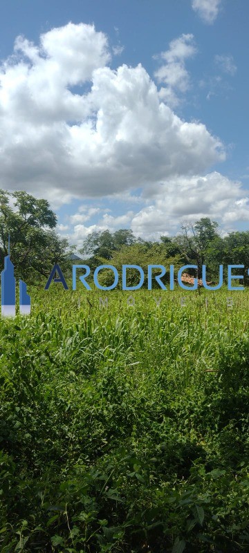 Fazenda, 563 hectares - Foto 1