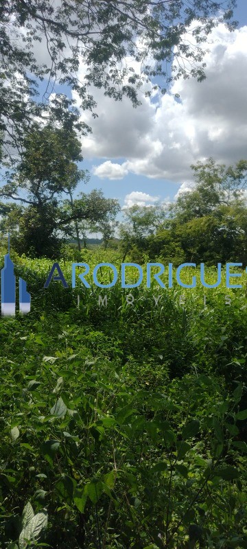 Fazenda, 563 hectares - Foto 2