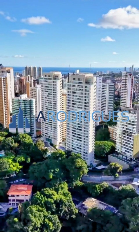 Cobertura, 3 quartos, 355 m² - Foto 4