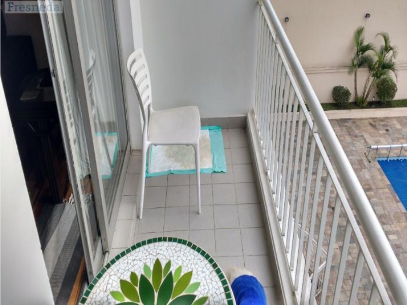Apartamento, 3 quartos, 75 m² - Foto 9