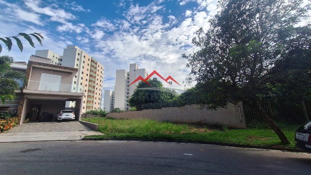 Foto Destaque