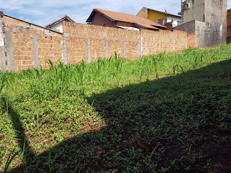 Terreno, 510 m² - Foto 4
