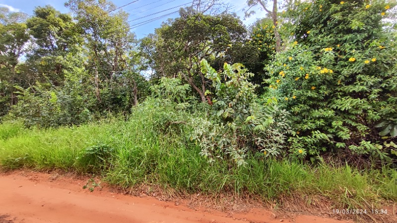 Chácara - Foto 3