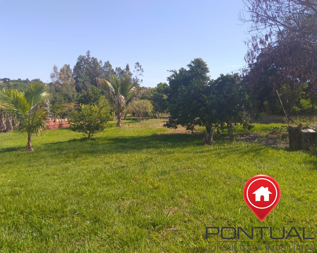 Chácara para venda altos da tibiriça com 10 mil metros quadr - foto 14