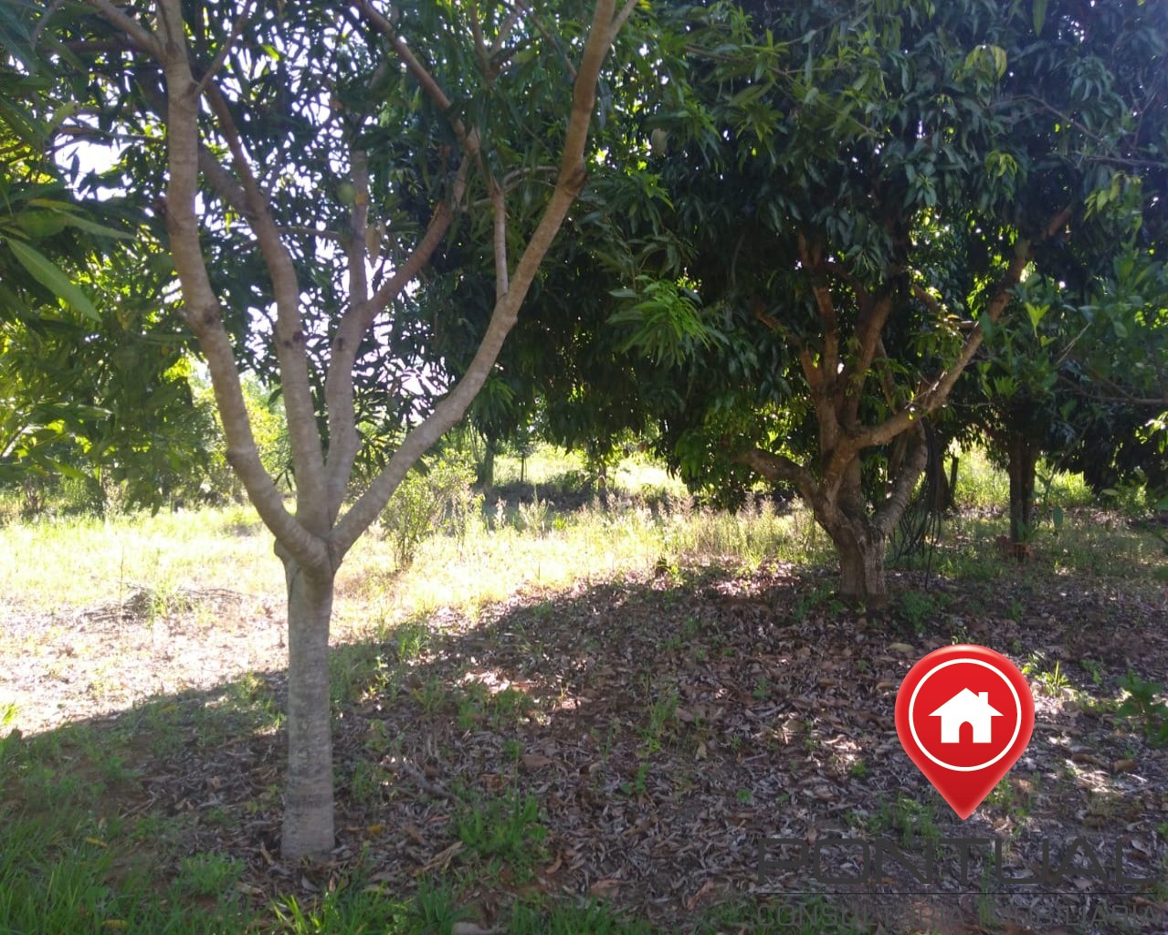 Chácara para Venda Altos da Tibiriça com 10 mil metros quadrados