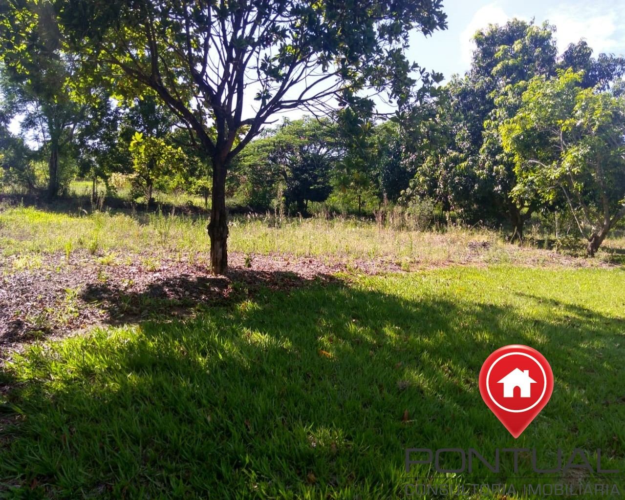 Chácara para Venda Altos da Tibiriça com 10 mil metros quadrados