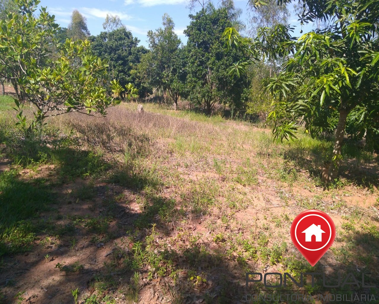 Chácara para Venda Altos da Tibiriça com 10 mil metros quadrados