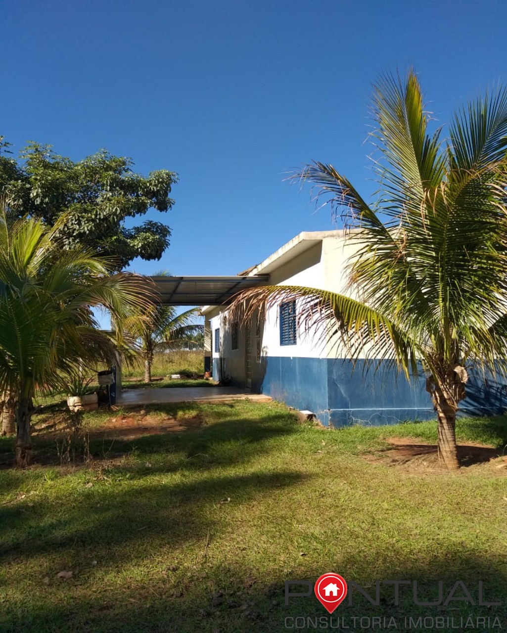 Chácara à venda em padre nóbrega, marília sp: 6 quartos, pis