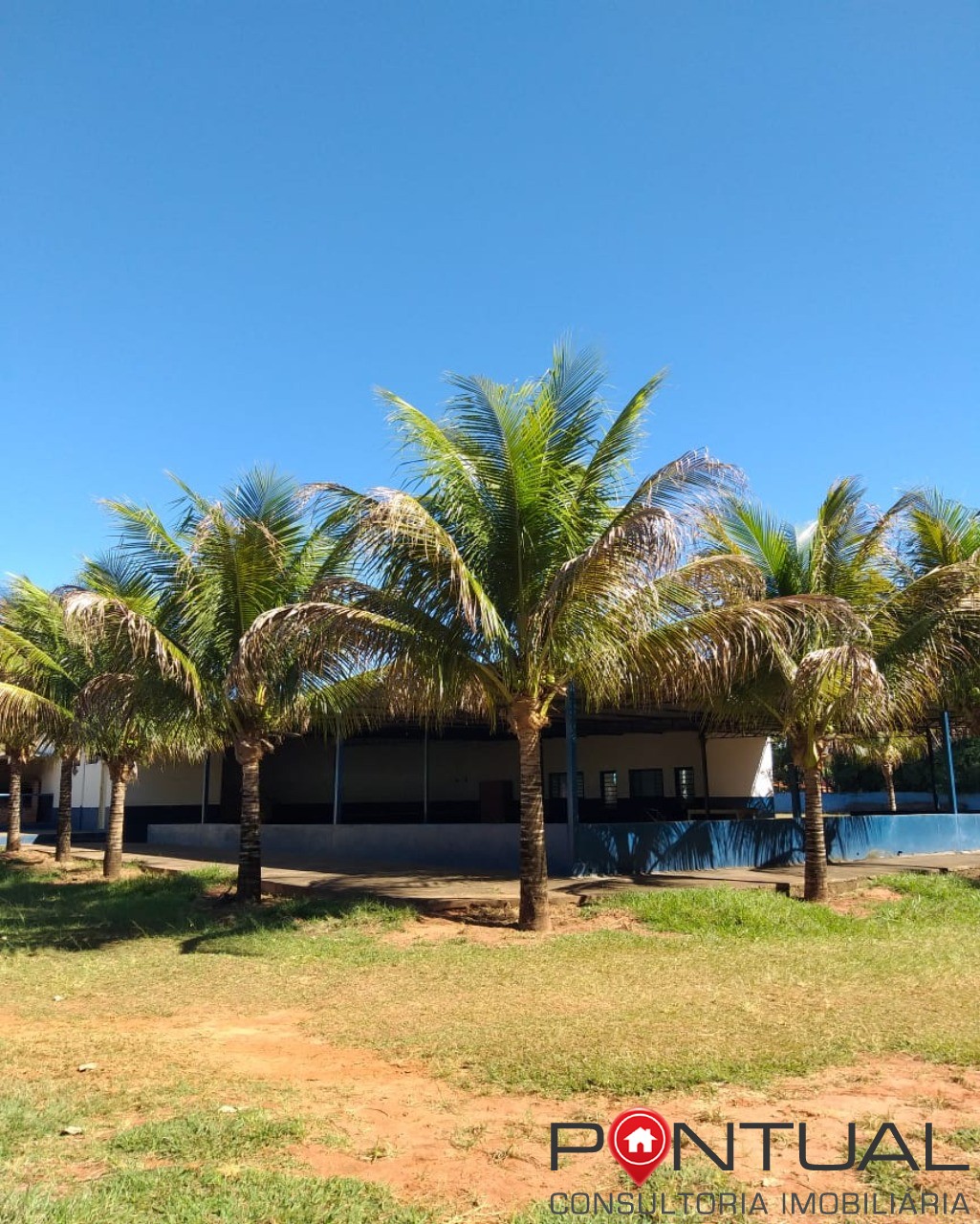 Chácara à venda em padre nóbrega, marília sp: 6 quartos, pis