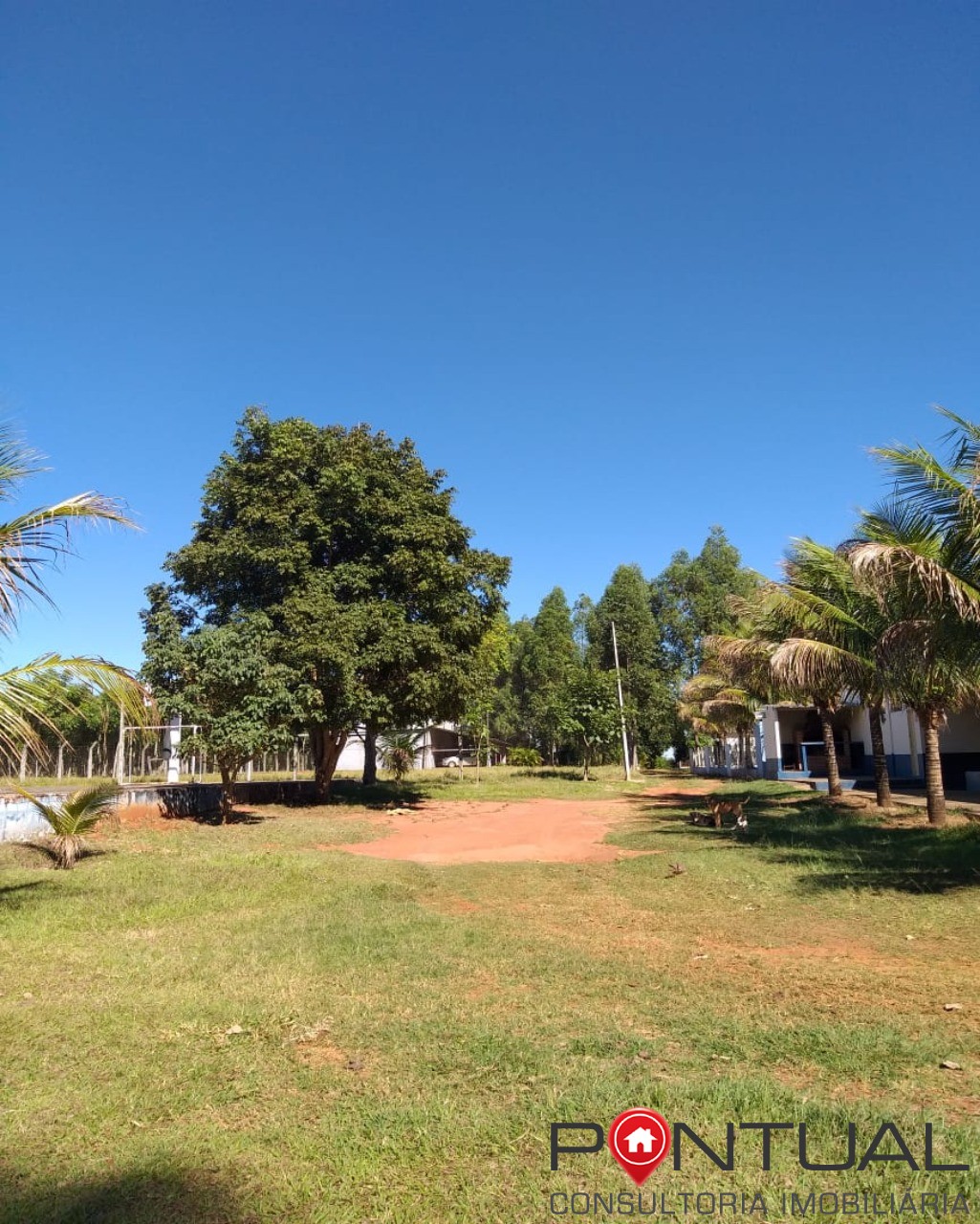 Chácara à venda em padre nóbrega, marília sp: 6 quartos, pis
