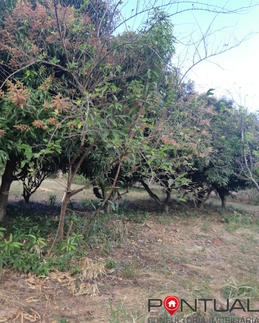 Chácara à venda no condomínio terras vera cruz sp, 2500m². R