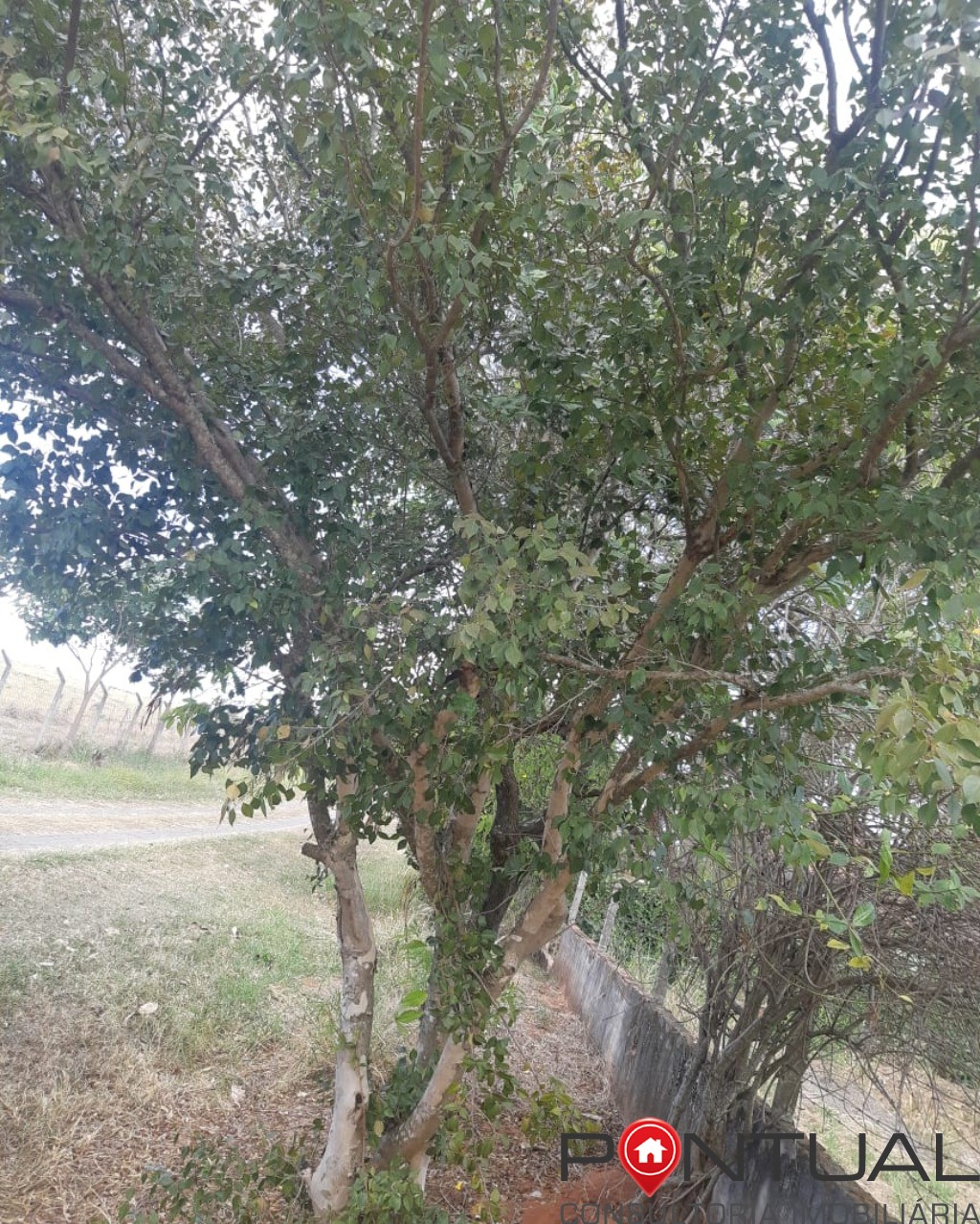 Chácara à venda no condomínio terras vera cruz sp, 2500m². R