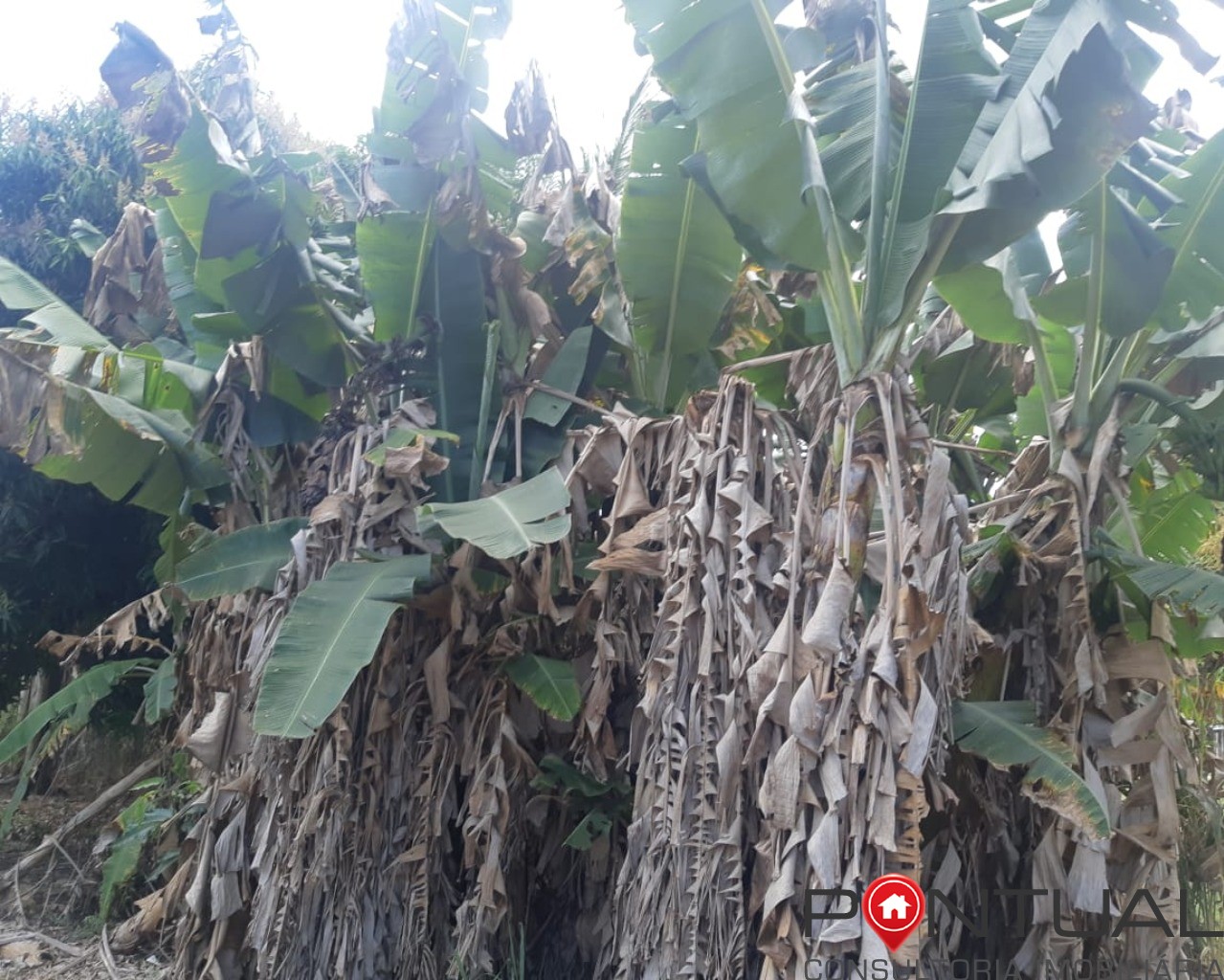 Chácara à venda no condomínio terras vera cruz sp, 2500m². R
