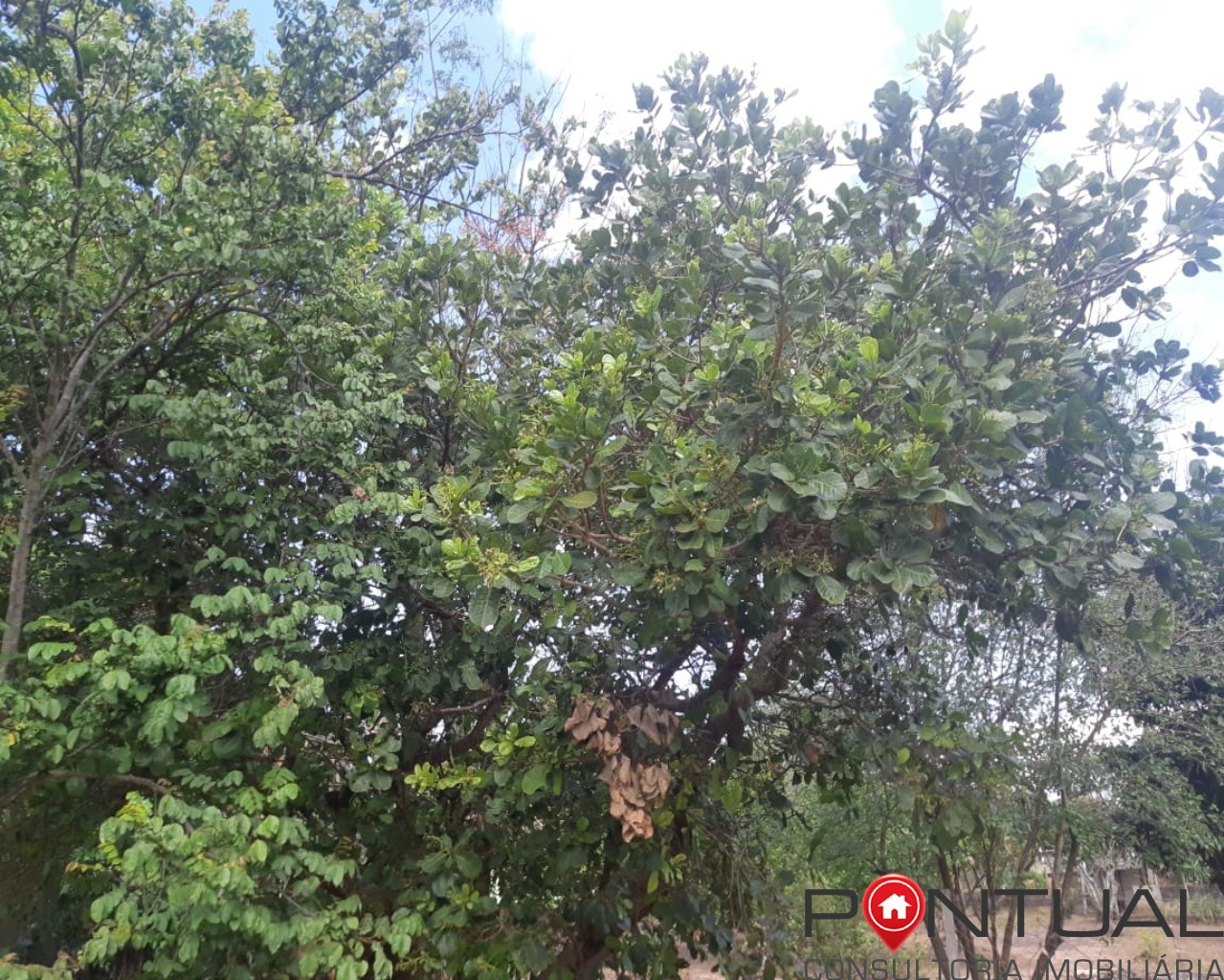 Chácara à venda no condomínio terras vera cruz sp, 2500m². R