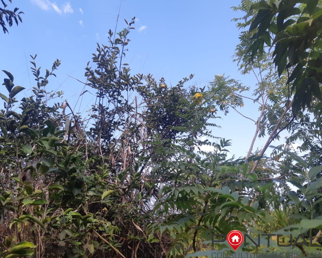Chácara à venda no condomínio terras vera cruz sp, 2500m². R