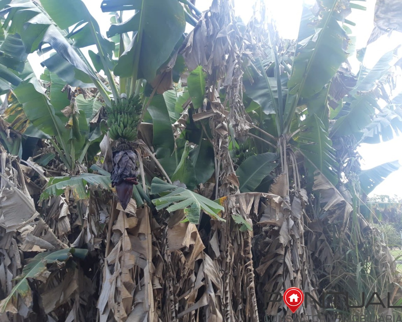 Chácara à venda no condomínio terras vera cruz sp, 2500m². R