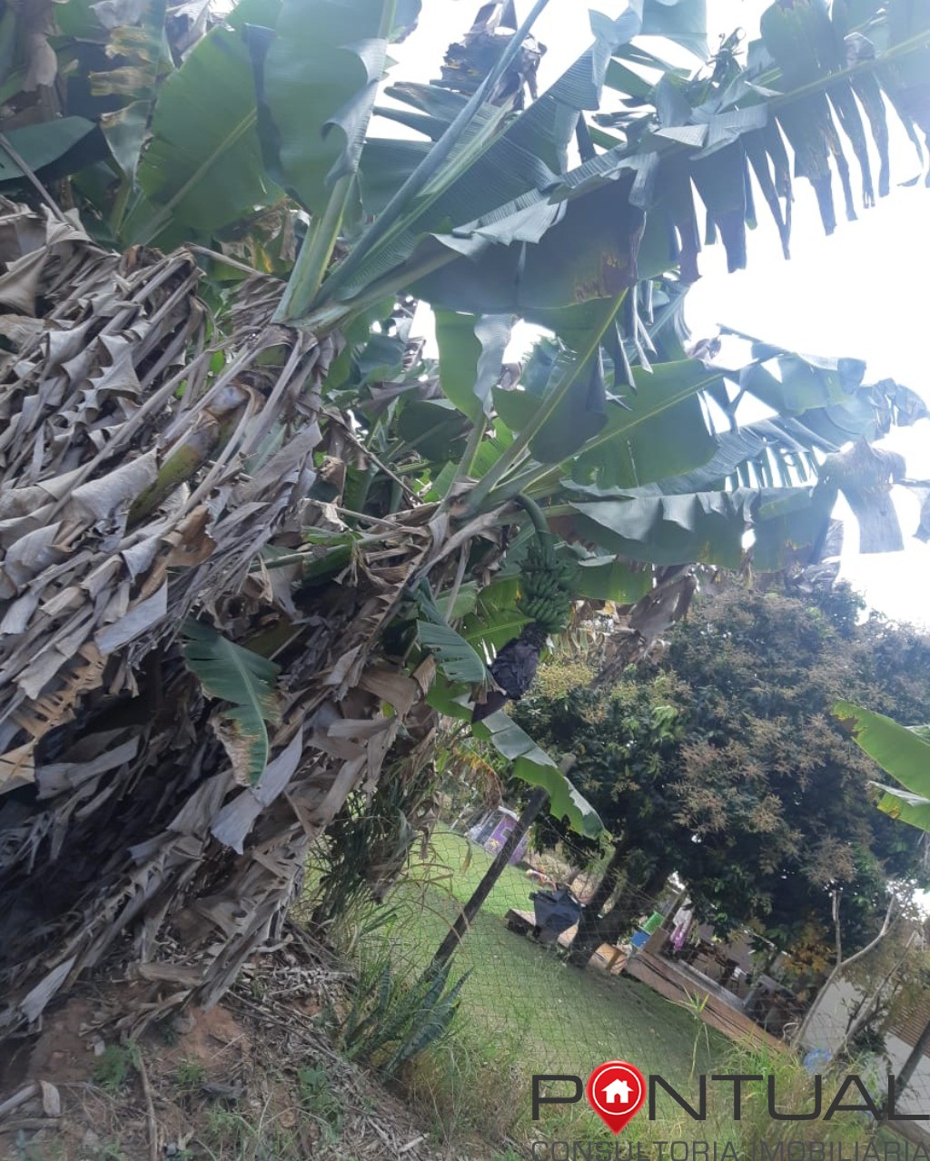 Chácara à venda no condomínio terras vera cruz sp, 2500m². R