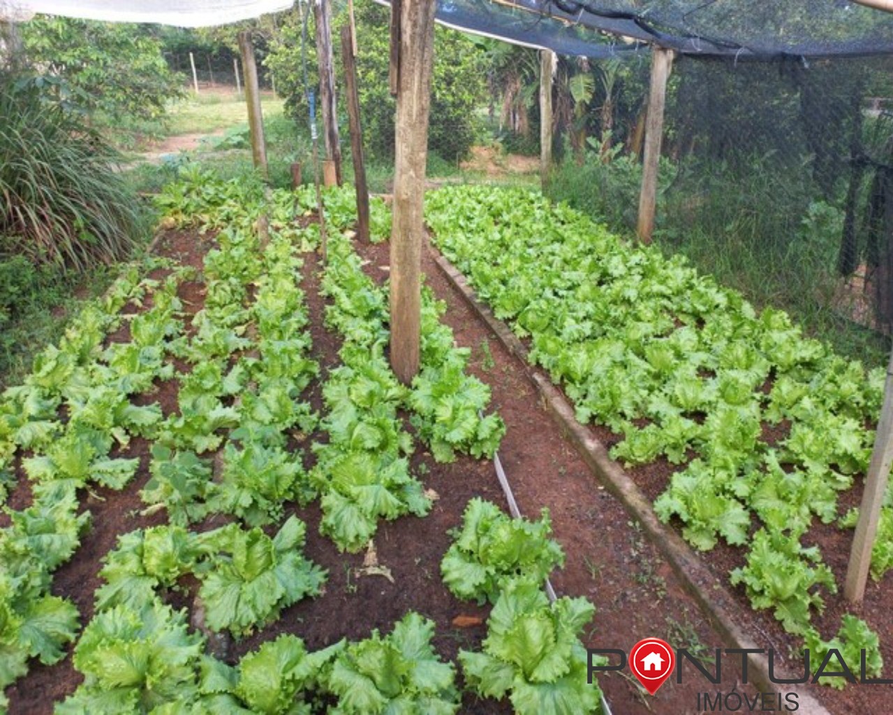 Sítio a venda 4,5 hectares garça sp - 15 mil pés café - acei