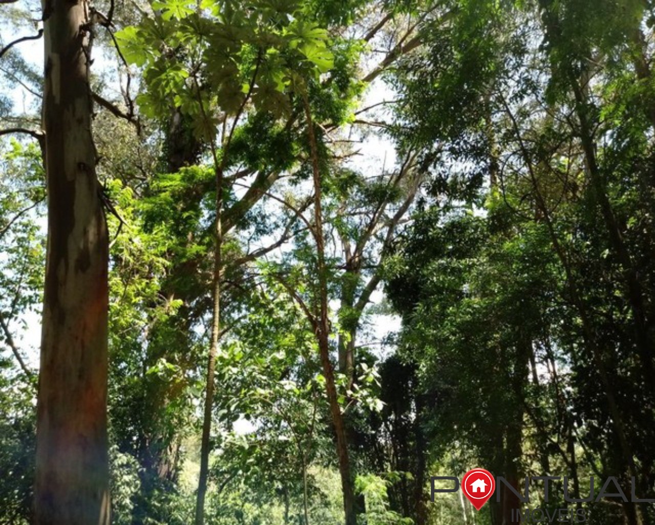 Sítio a venda 4,5 Hectares Garça SP - 15 Mil Pés Café - Aceita Permuta - Pontual Imóveis sua imobiliária em Marília e regiao